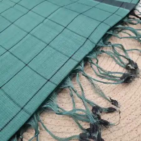 SeaGreen Mangalagiri Handloom Cotton Checks Saree