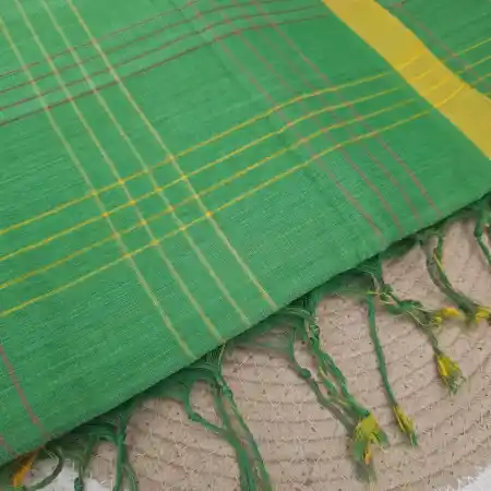 Green Mangalagiri Handloom Cotton Double Checks Saree